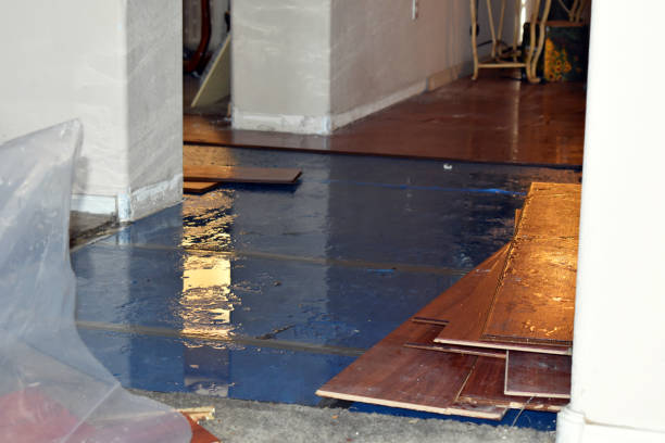 Professional Burst Pipe Cleanup technician working in Prospect Harbor, ME